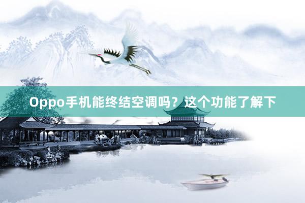 Oppo手机能终结空调吗？这个功能了解下